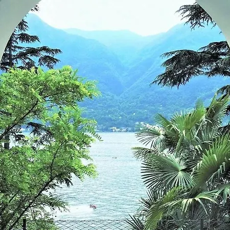 Louisa Tivan * Nesso