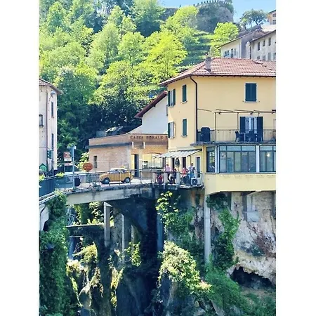 Louisa Tivan * Nesso