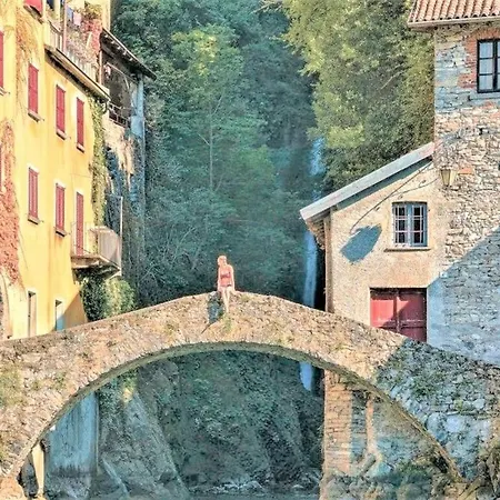 Louisa Tivan * Nesso